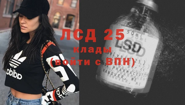 ешки Бердск