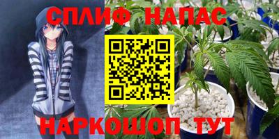 твердый Будённовск