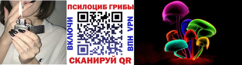 Галлюциногенные грибы GOLDEN TEACHER наркота shop как зайти Дальнереченск