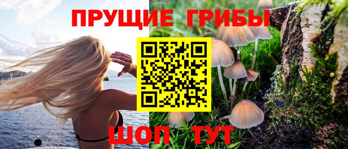 Псилоцибиновые грибы GOLDEN TEACHER Дальнереченск
