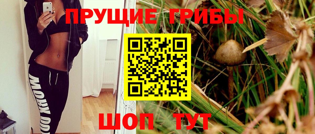 Дальнереченск  Псилоцибиновые грибы прущие грибы  Вход с VPN 