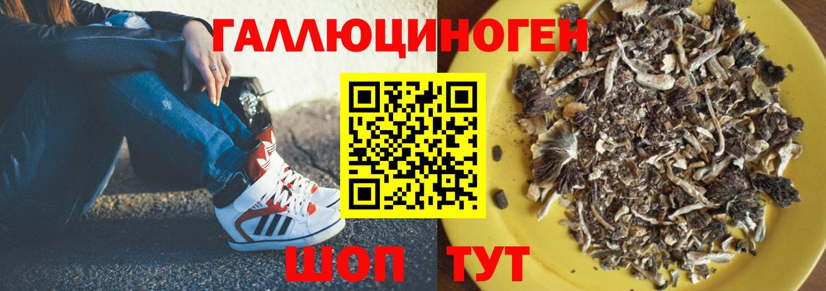 даркнет сайт  Вход с VPN  Дальнереченск  Галлюциногенные грибы Psilocybine cubensis 